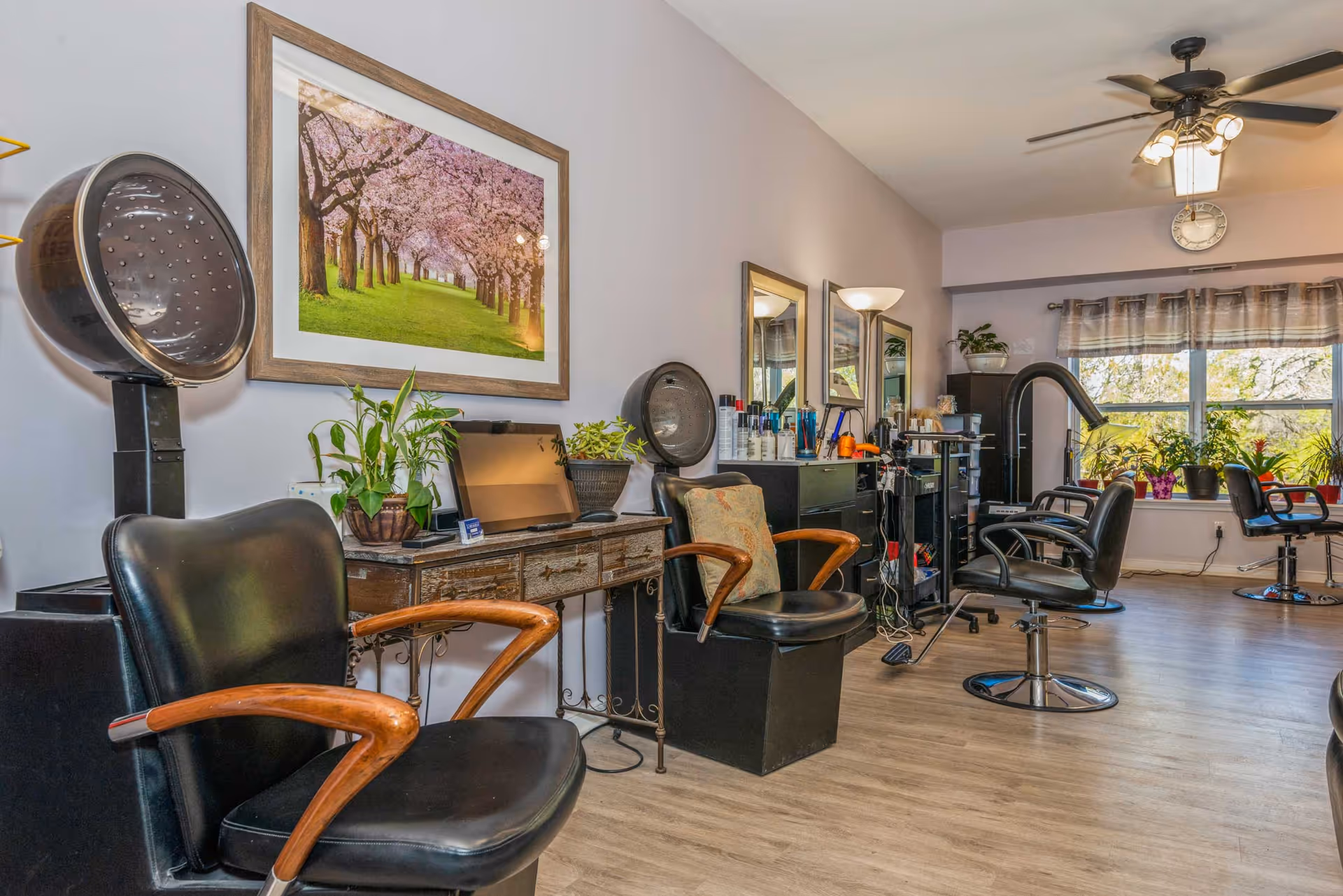 Interior view of a hair salon area with multiple black salon chairs, hair dryers, mirrors, and a variety of hair care products on counters. There are plants on the counters and windowsill, a framed picture of a tree-lined path on the wall, and a ceiling fan with lights. The floor is wooden, and natural light comes through a large window with curtains.