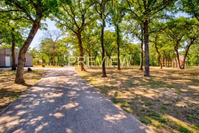 A paved pathway surrounded by trees and grassy areas in an outdoor setting with a building partially visible on the left side under a clear blue sky.