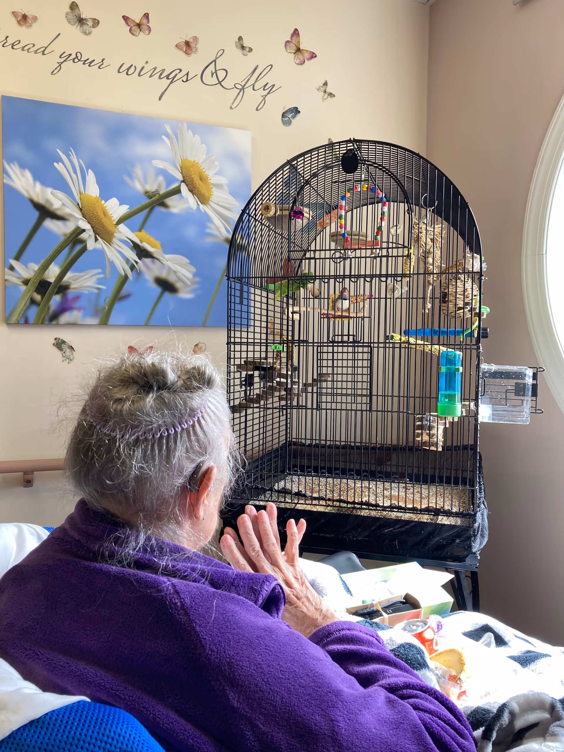 An elderly person with gray hair, wearing a purple sweater, is sitting and facing a large birdcage with colorful toys inside. The room has a wall decoration with butterflies and a large picture of daisies against a blue sky. The phrase 'spread your wings & fly' is written on the wall above the picture.