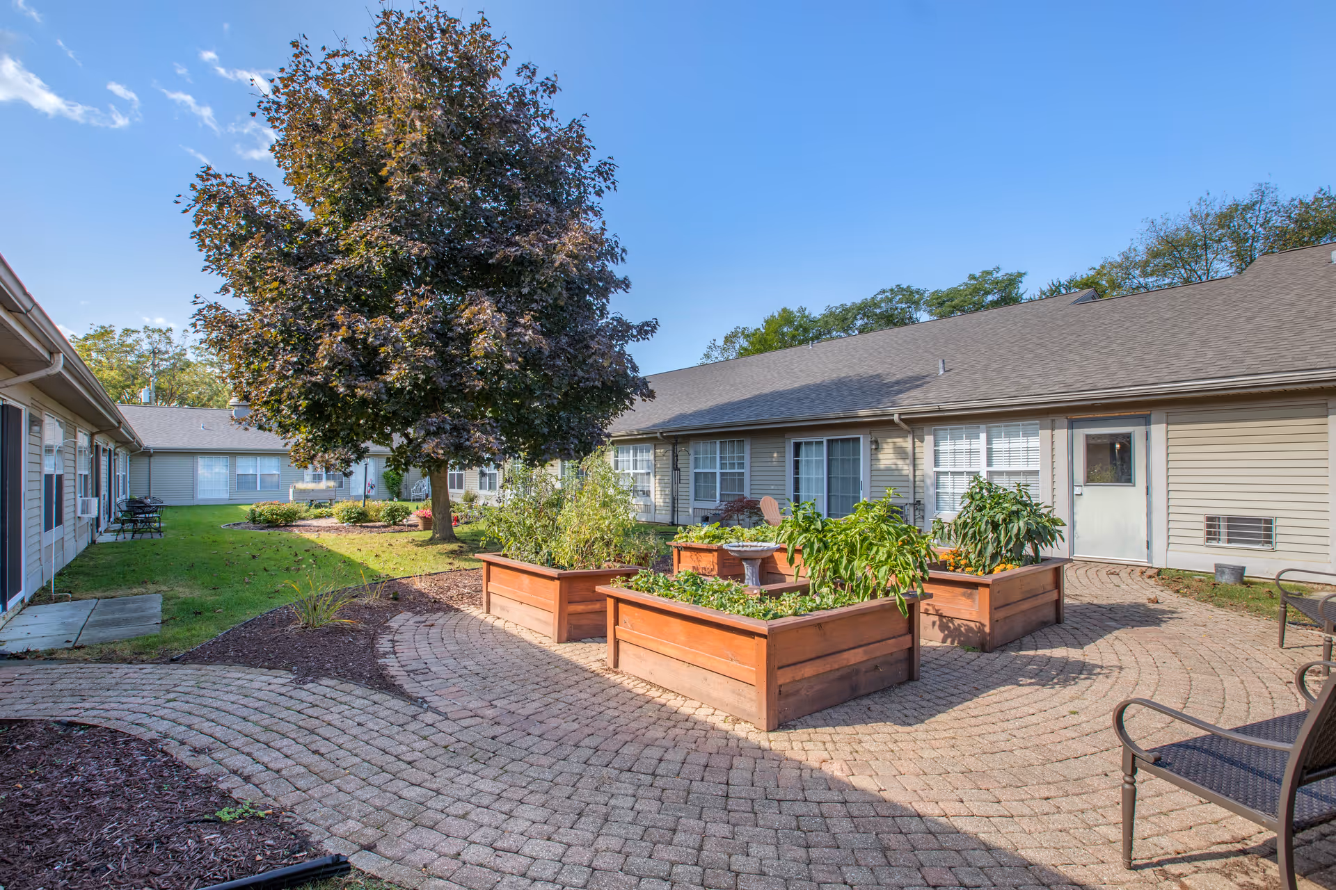 Outdoor courtyard area at Brookdale Brighton featuring raised wooden garden beds with various plants, a large tree, paved walkways, and surrounding single-story building with windows and doors under a clear blue sky.
