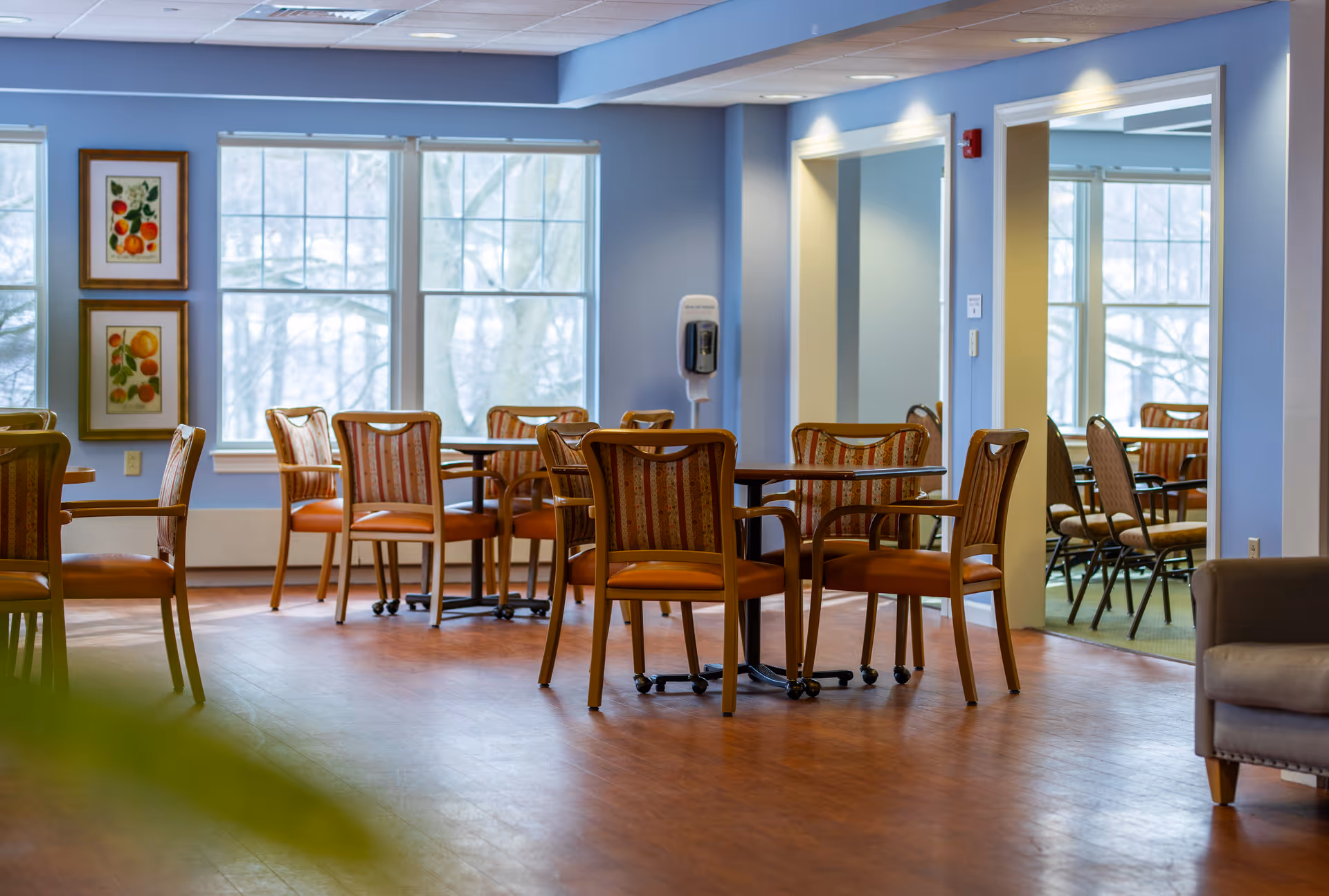 Sunlit communal dining area with several wooden tables and upholstered chairs by large windows in a senior living facility.