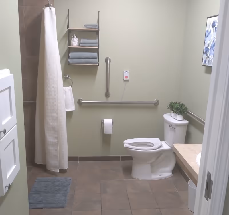 A clean and accessible bathroom with a toilet, grab bars on the walls, a shower with a white curtain, a small shelf holding folded towels and cotton balls, a towel ring with a white hand towel, a small plant on the toilet tank, and a framed floral picture on the wall.