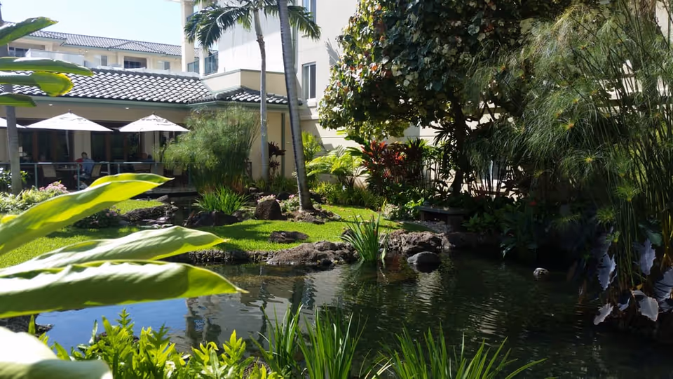 A serene outdoor garden area at Kāhala Nui featuring a small pond surrounded by lush greenery, tropical plants, and palm trees. In the background, there is a building with a tiled roof and a patio area with tables and umbrellas where people are seated.