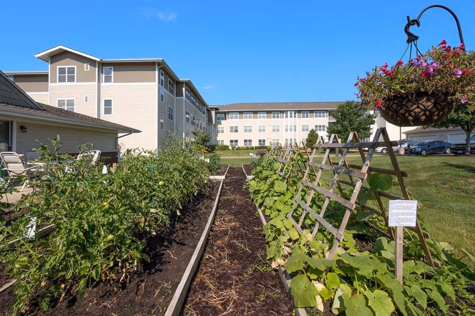 A garden area with raised planting beds containing green plants and trellises, situated in front of a multi-story residential building under a clear blue sky. There is a hanging basket with flowers on the right side and a parking area with cars in the background.