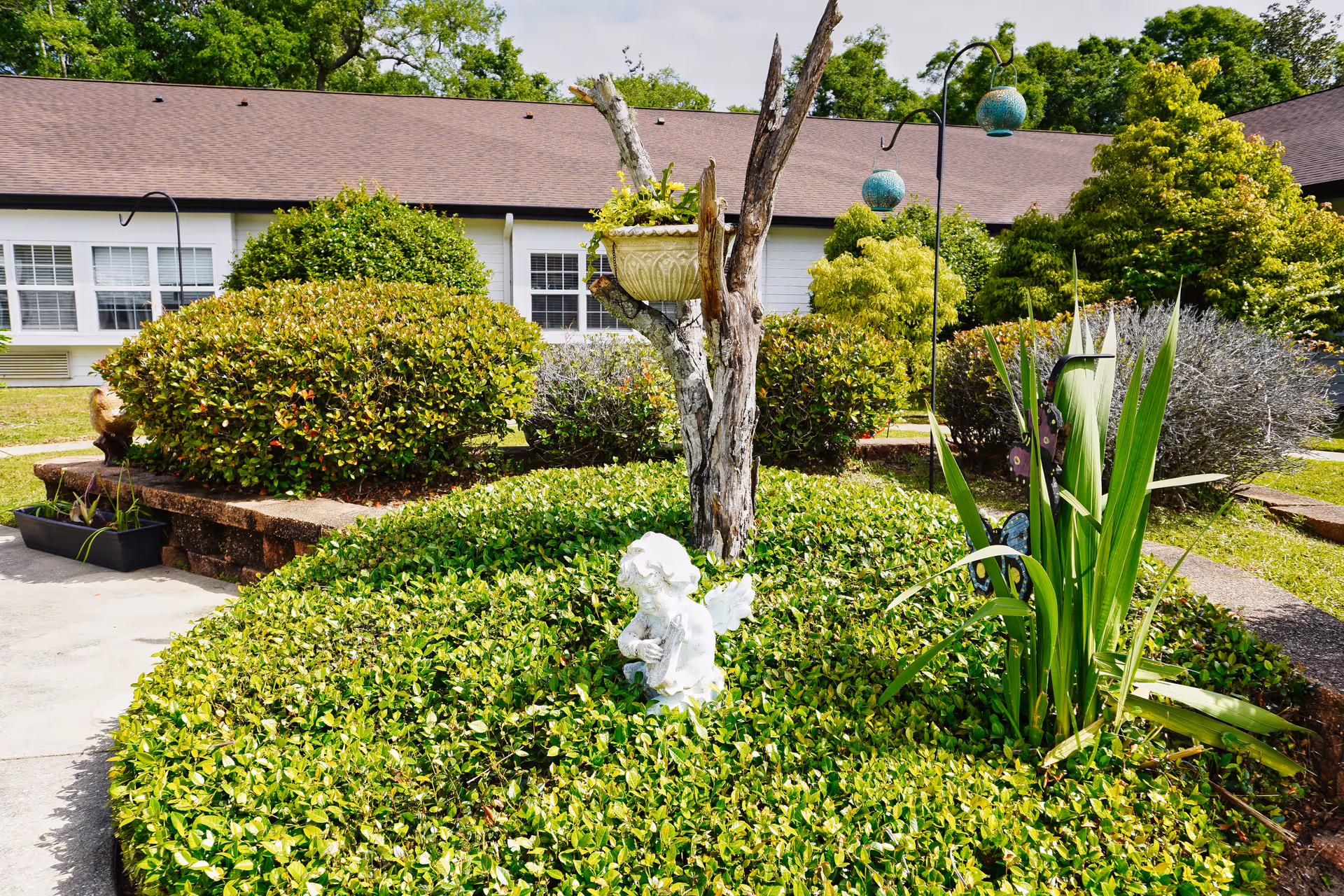 A well-maintained garden area with various green shrubs and plants surrounding a small white angel statue playing a harp. A tree trunk with a hanging planter is in the center, and decorative hanging lanterns are visible. In the background, there is a single-story building with white walls and multiple windows under a brown shingled roof.