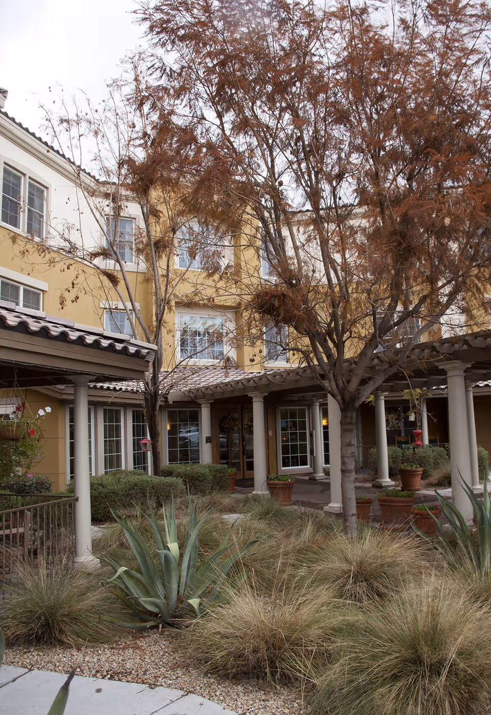 Exterior view of a senior living facility with a yellow building, multiple windows, and a covered walkway supported by white columns. The foreground features desert landscaping with agave plants, dry grasses, and leafless trees.