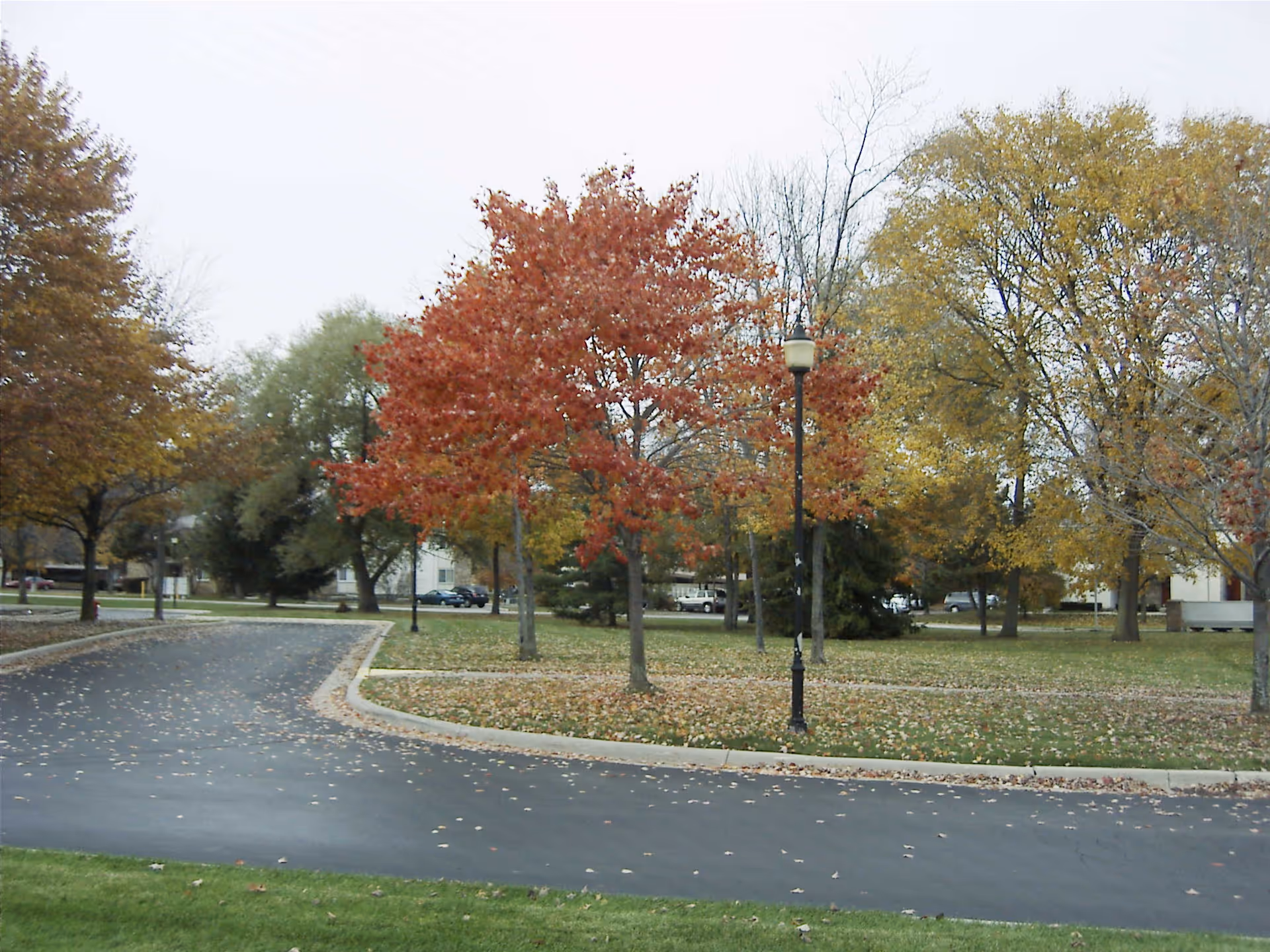 A paved road curves through a landscaped outdoor area with green grass and trees showing autumn colors, including red and yellow leaves. There are street lamps and some parked cars visible in the background.