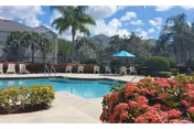 Outdoor swimming pool area at Windsor Park Apartments with lounge chairs and umbrellas around the pool, surrounded by palm trees, bushes, and flowering plants under a partly cloudy sky.