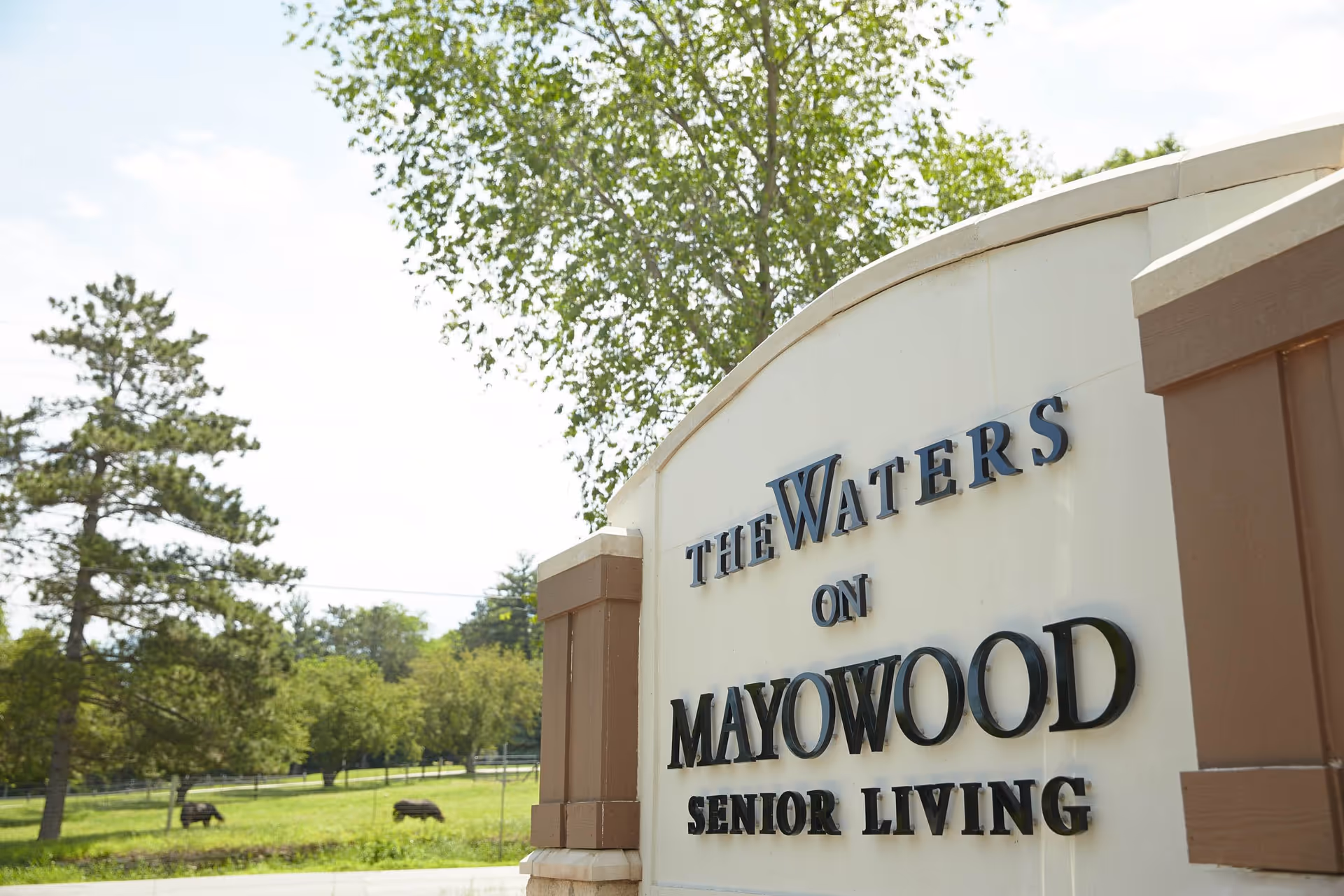 Outdoor sign for The Waters on Mayowood Senior Living facility with trees and grassy area in the background.