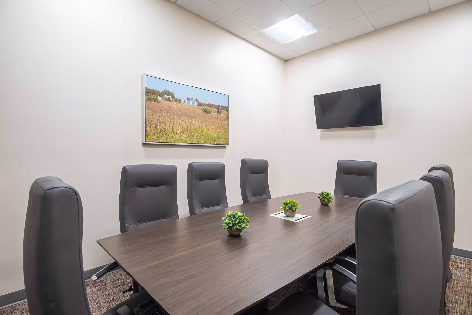 A modern conference room with a dark wooden table surrounded by eight black leather chairs. Three small green potted plants are placed on the table. On the wall, there is a flat-screen TV and a framed picture of a rural landscape with fields and farm buildings. The room has white walls and a ceiling with recessed lighting.