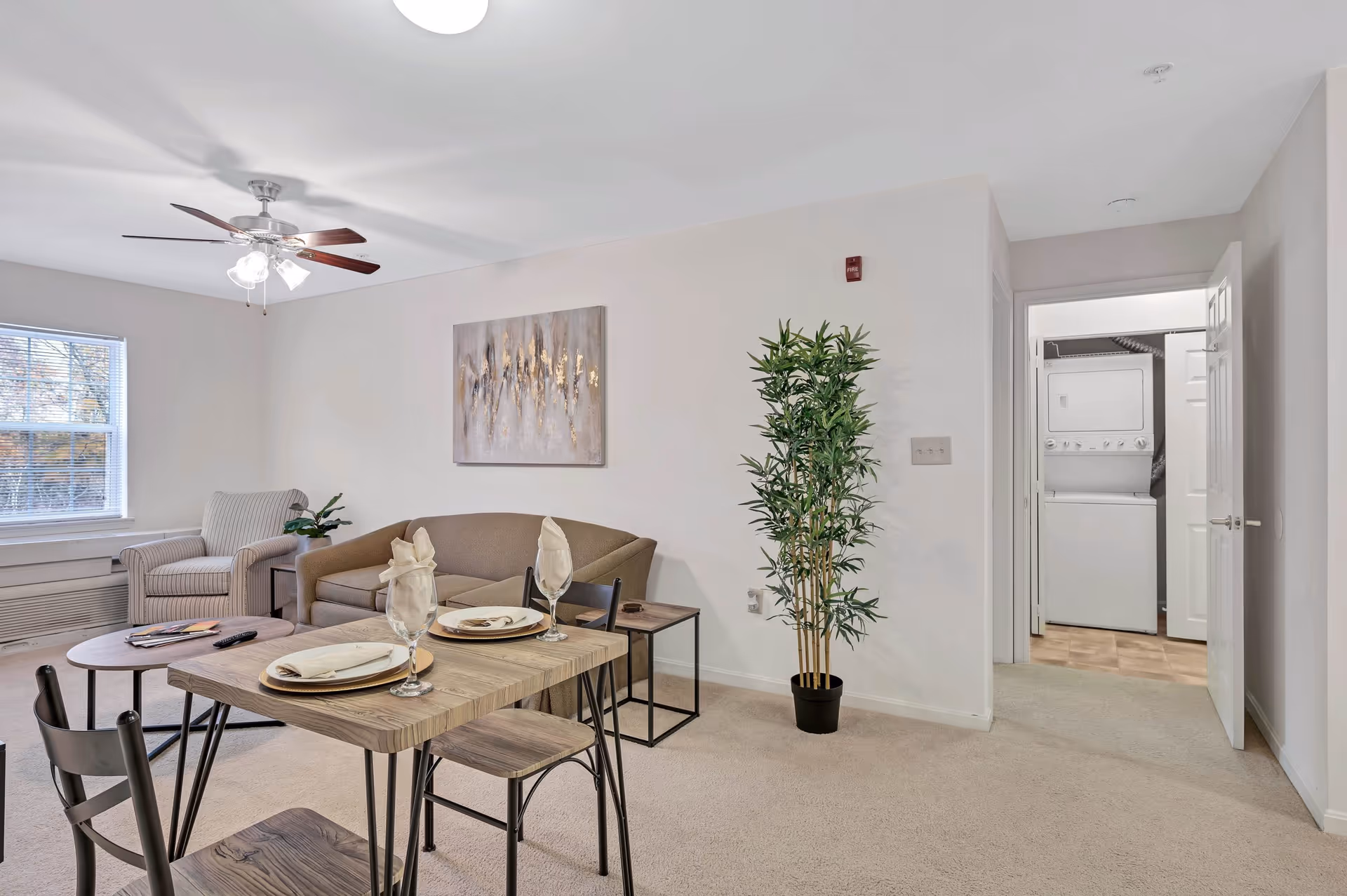 Open living and dining area with a small table set for two, couch and armchair, potted plant, and a laundry closet visible through a hallway.