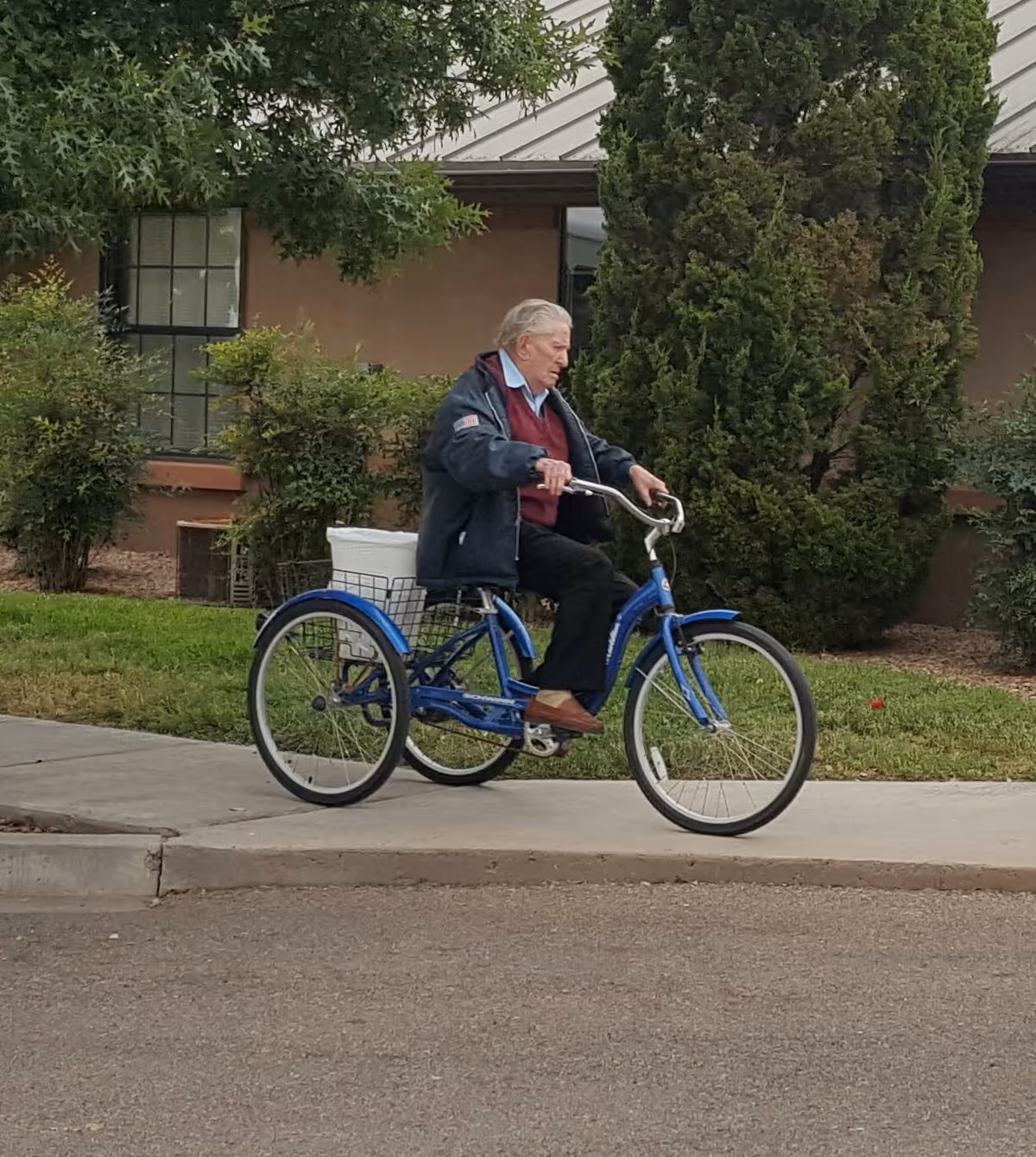 An elderly man riding a blue adult tricycle on a sidewalk next to a building with bushes and trees in the background.