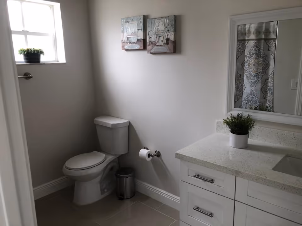 A clean bathroom with a white toilet, a small trash can, a toilet paper holder with a roll of toilet paper, a white countertop with a small potted plant, a mirror above the countertop, a window with a small plant on the sill, and two decorative paintings on the wall.