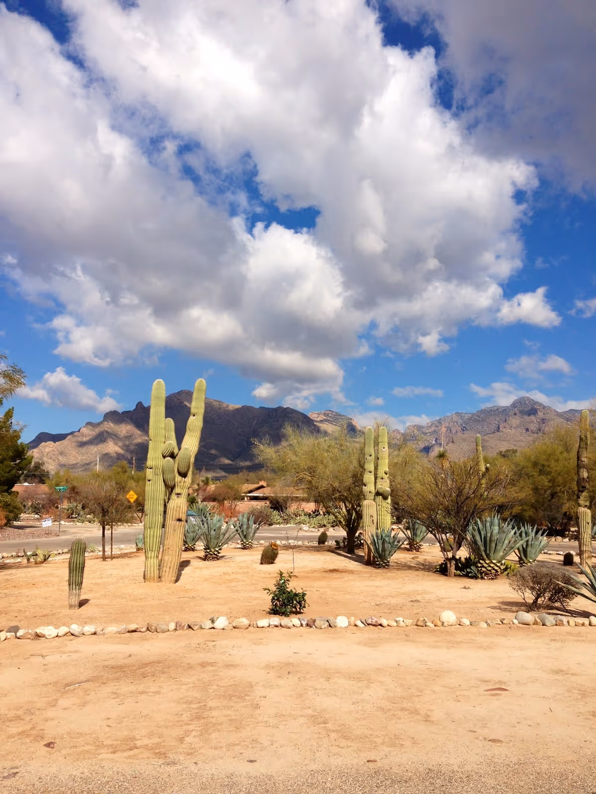 Photo 2 of Emerald Manor Assisted Living