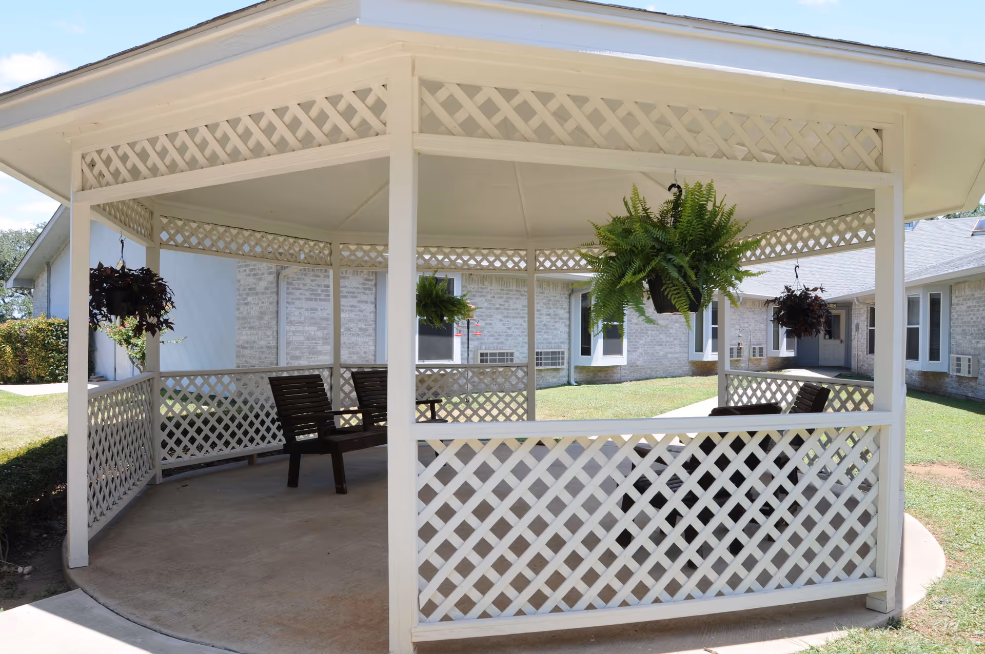 A white wooden gazebo with lattice panels on the sides, containing several wooden benches inside. Hanging plants with green foliage are suspended from the roof. The gazebo is situated outdoors on a concrete base with grass and a building with light-colored brick walls in the background.