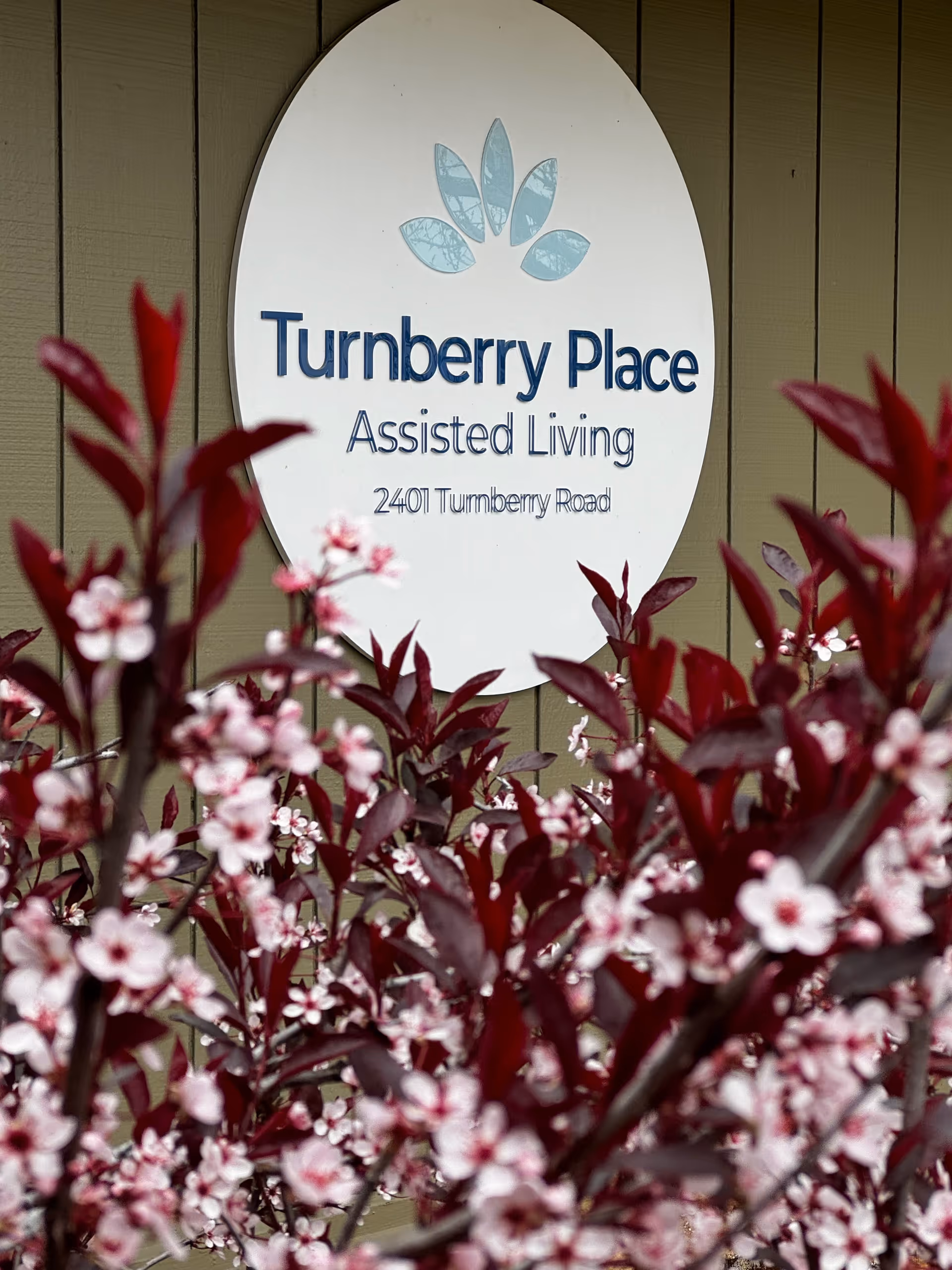 A round white sign mounted on a beige wall with the text 'Turnberry Place Assisted Living 2401 Turnberry Road' partially obscured by branches with red leaves and small pink flowers in the foreground.