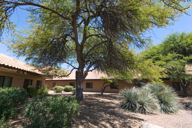 Sunlit courtyard with drought-tolerant landscaping and trees in front of a single-story stucco building with a tiled roof.