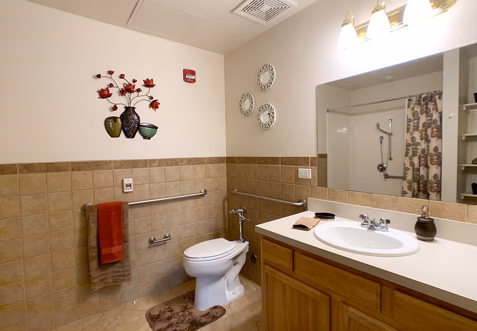 Accessible bathroom with a toilet, sink vanity and mirror, grab bars, shower with curtain, and decorative wall art.