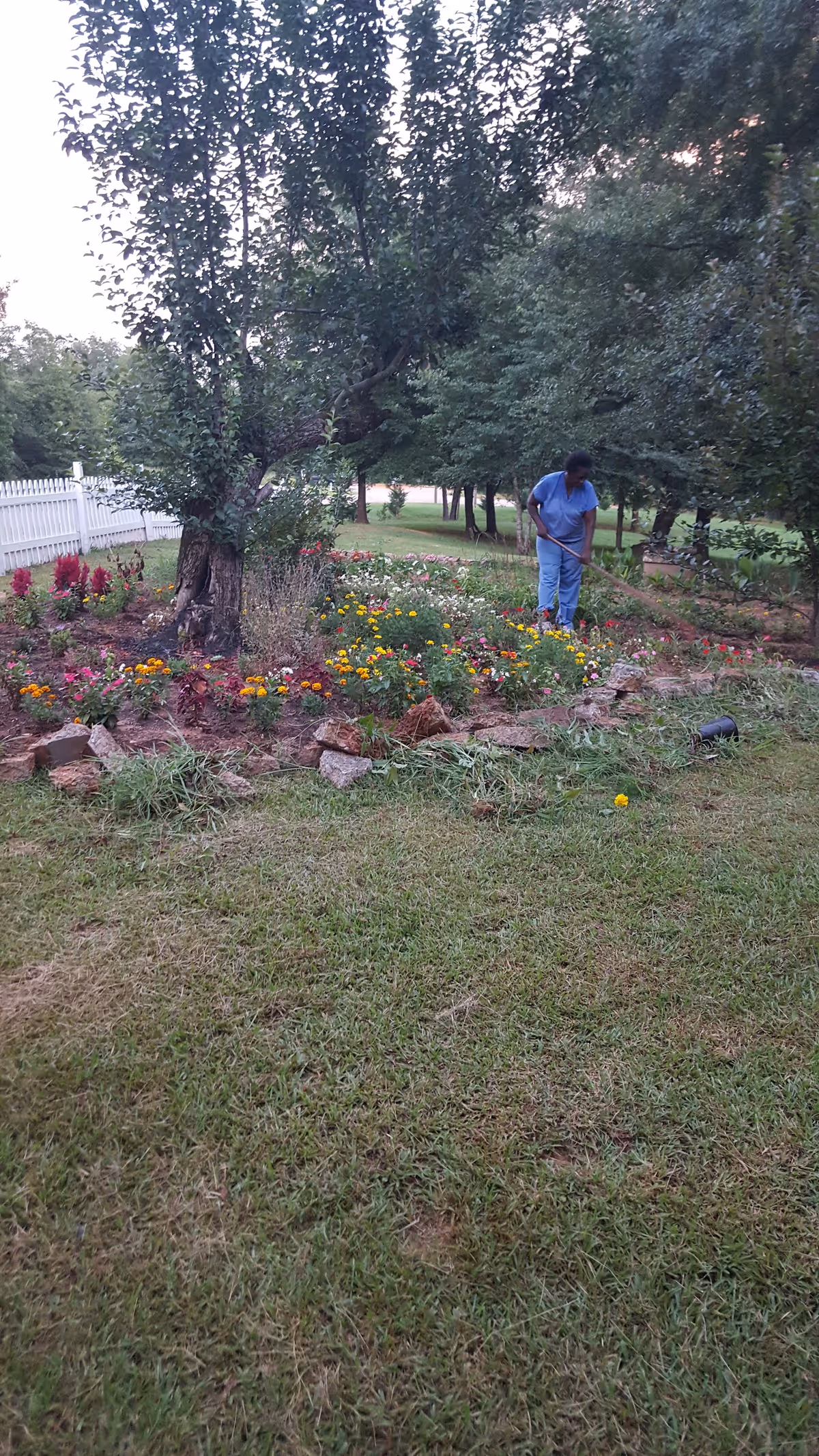 A person wearing blue scrubs is tending to a flower garden with various colorful flowers and a large tree in the center. The garden is bordered by rocks and surrounded by green grass and trees, with a white fence visible in the background.