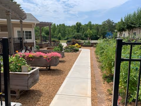 Concrete walkway through a landscaped courtyard with raised wooden planters, pergolas, and greenery.