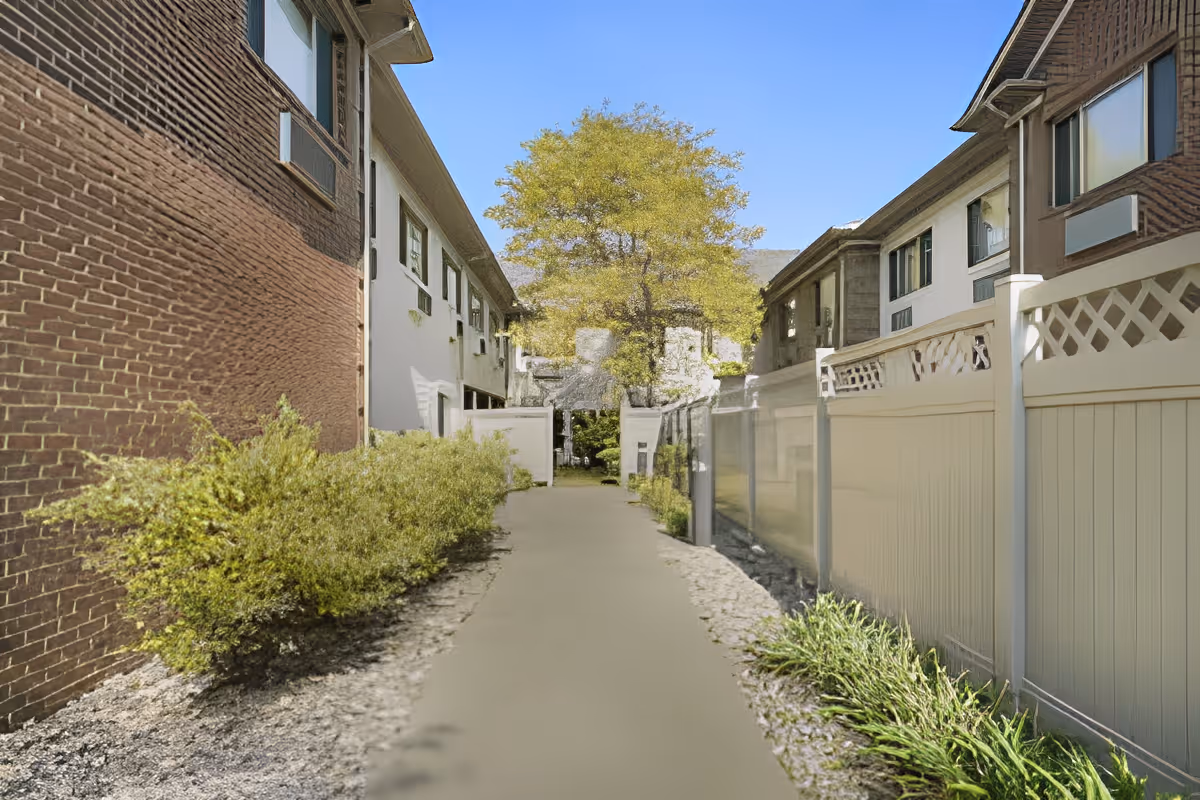 A paved walkway between two buildings with bushes and plants along the sides, a tree in the distance, and a clear blue sky overhead.