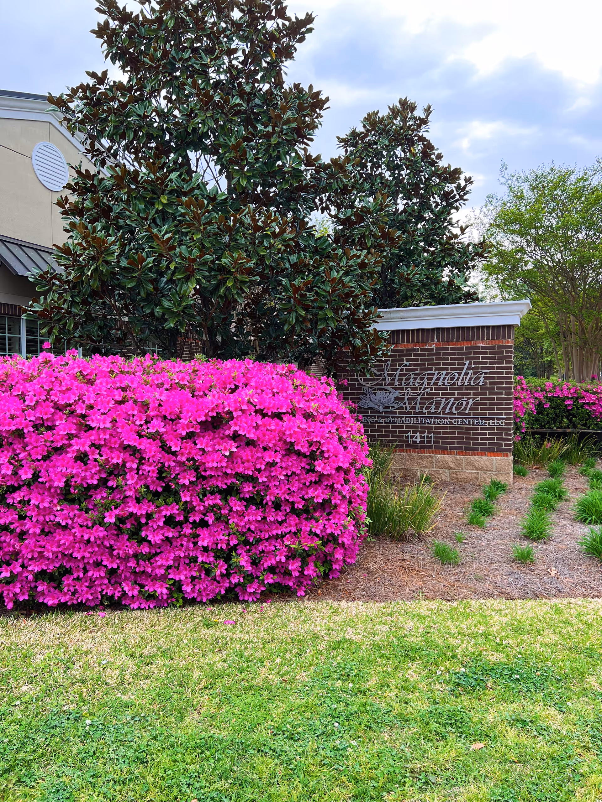 A landscaped outdoor area featuring a large bush with vibrant pink flowers in front of a brick sign that reads 'Magnolia Manor Nursing & Rehabilitation Center, LLC 1411'. Behind the sign are tall green trees and a partly cloudy sky.