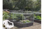Raised garden beds with protective mesh covers in an outdoor garden area surrounded by trees and greenery. A white plastic chair is visible in the foreground.