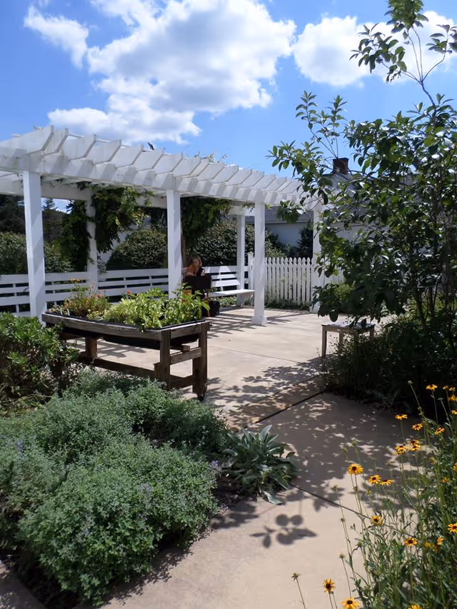 Sunny outdoor garden patio with a white pergola, raised planters, flowering plants, and a person seated on a bench.