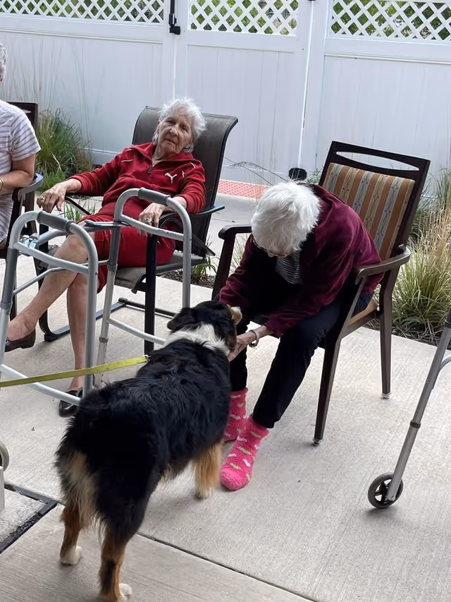 Two elderly women sitting outdoors on chairs near a white fence. One woman in a red outfit is seated with a walker in front of her, while the other woman wearing a dark jacket and bright pink socks is bending forward to pet a black and white dog standing in front of her.