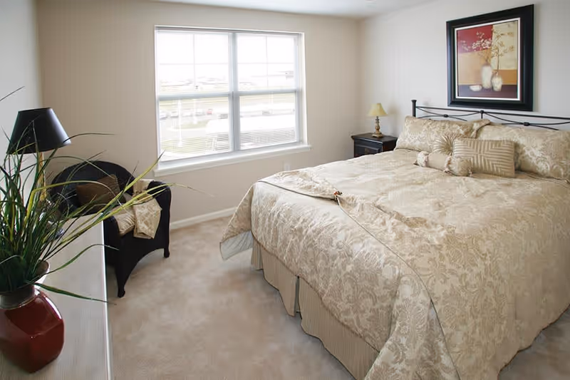 Sunlit bedroom with a large made bed, window, armchair, potted plant, and a nightstand with a lamp.