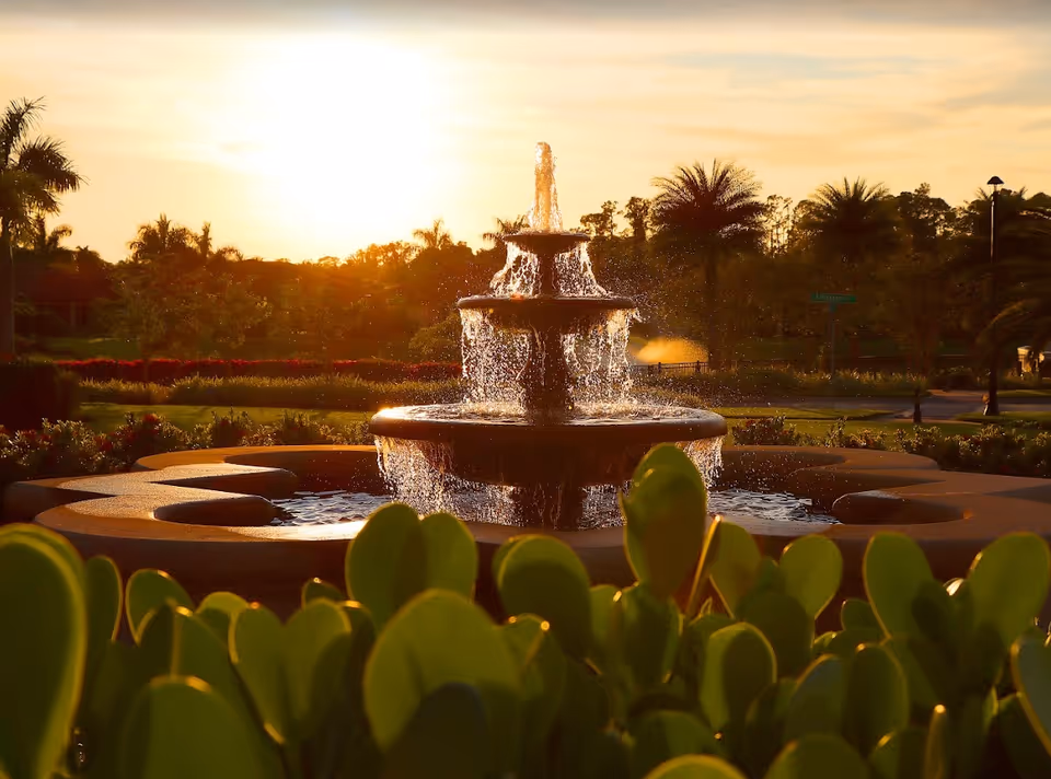 A tiered water fountain in a landscaped garden area with green plants in the foreground and palm trees in the background during sunset.