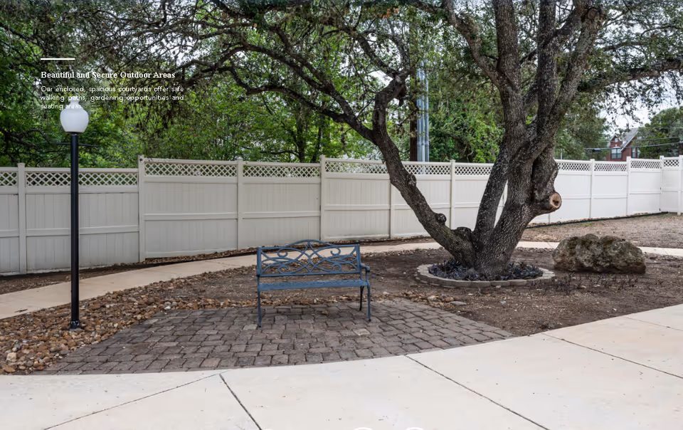 Outdoor courtyard area with a paved walking path, a metal bench, a large tree surrounded by a small circular stone border, a rock, and a white privacy fence in the background. There is also a black lamp post with a round white light.