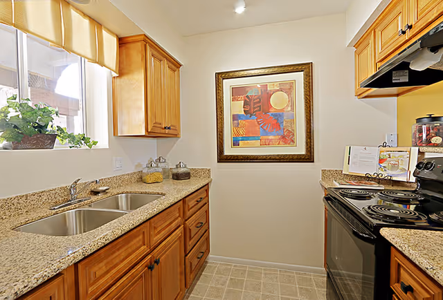 A compact kitchen with wooden cabinets, granite countertops, a double stainless steel sink under a window with a beige valance, and a black electric stove. There is a colorful framed artwork on the wall opposite the sink, and various kitchen items including jars and a cookbook are placed on the countertops.