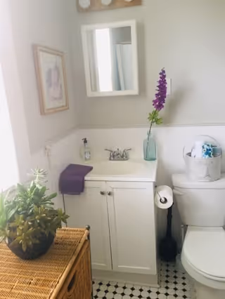 Small bathroom with a white vanity cabinet and sink, a mirror above the sink, a purple towel hanging on the side, a purple flower in a glass vase on the sink, a toilet with a basket holding toilet paper and other items on top, a toilet paper holder with a roll, a wicker basket with a green plant on top, and a framed picture on the wall.