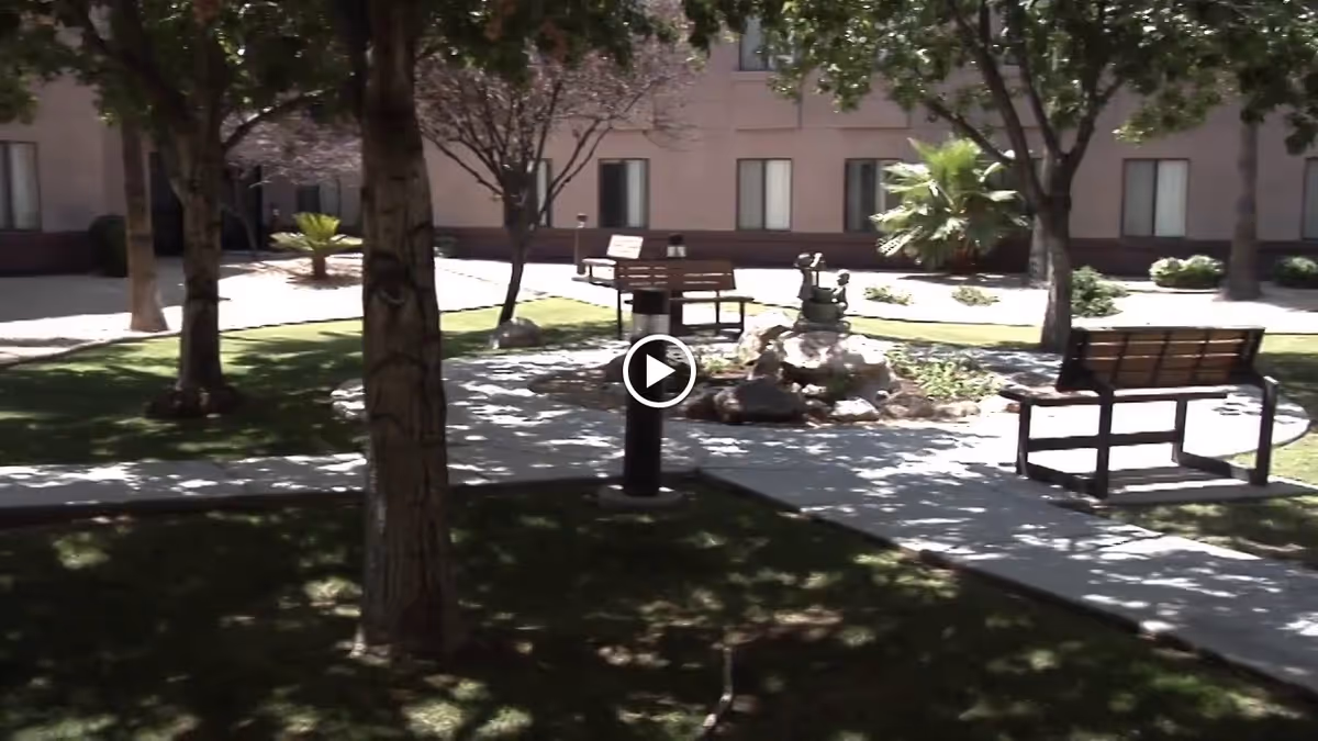 Outdoor courtyard area with trees, benches, a paved walkway, and a small rock garden with a decorative sculpture. The background shows the exterior wall of a building with several windows.
