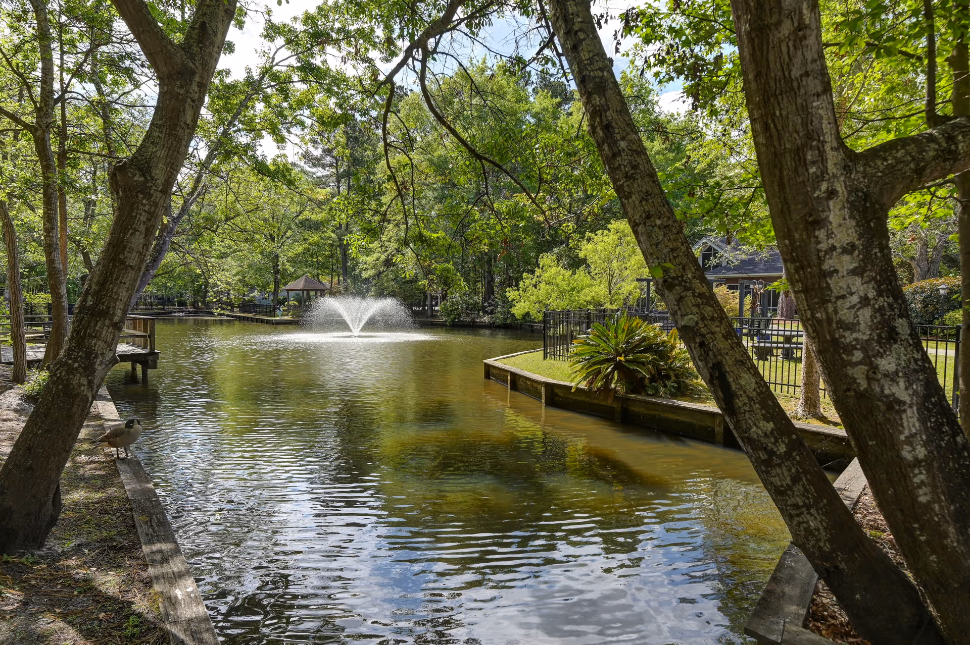 A peaceful outdoor pond surrounded by trees with a water fountain in the center. There is a wooden bench on the left side near the water and a small gazebo visible in the background. The area is lush with greenery and sunlight filters through the leaves.