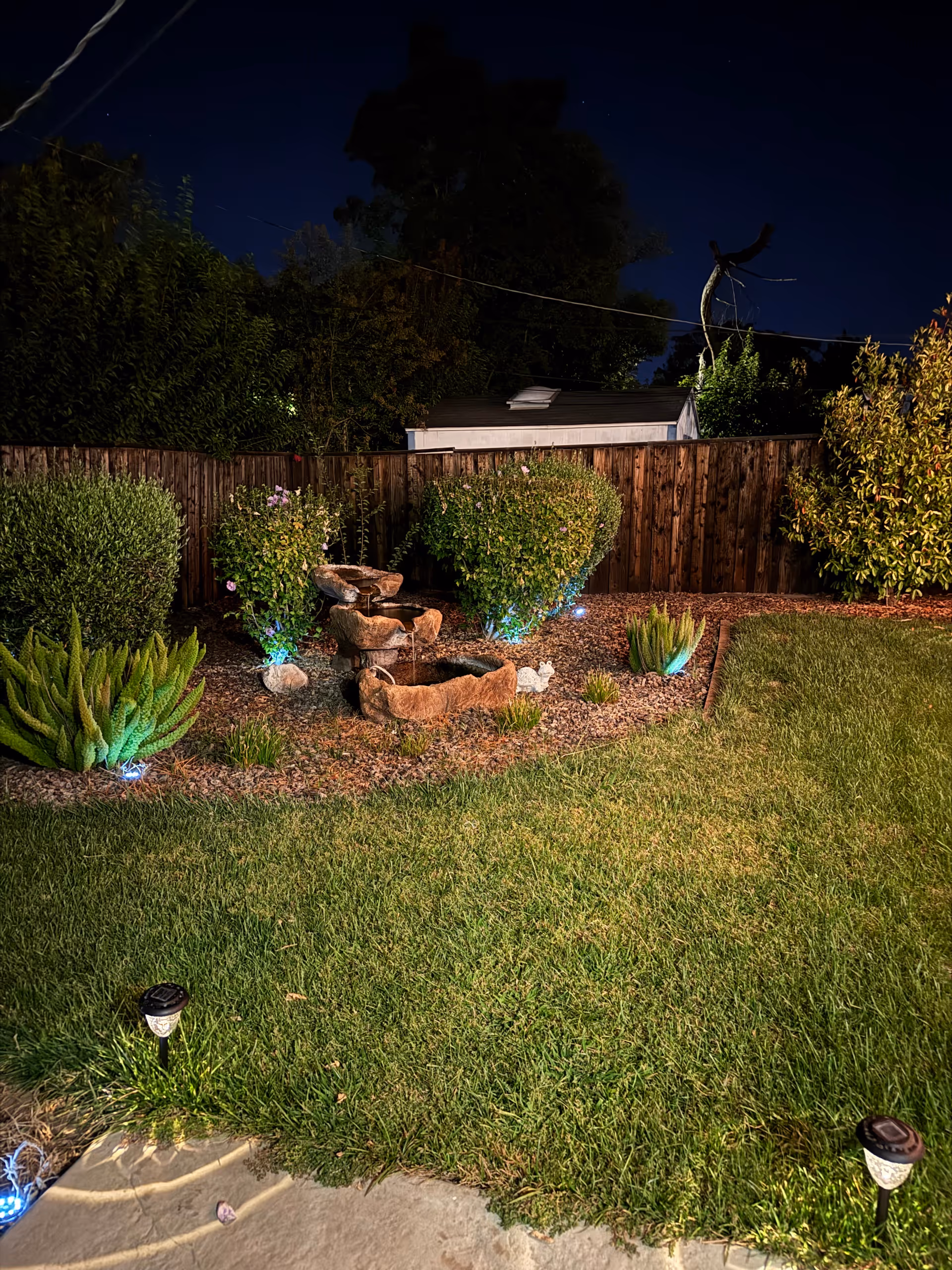 Nighttime view of a fenced backyard lawn with illuminated shrubs, a small stone fountain, and garden lights.