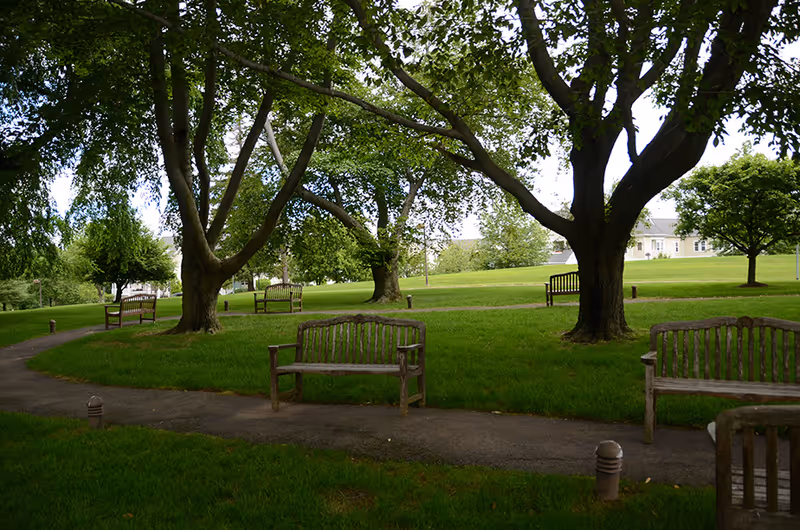 Green lawn with wooden benches along a paved path under large shade trees and a distant building.