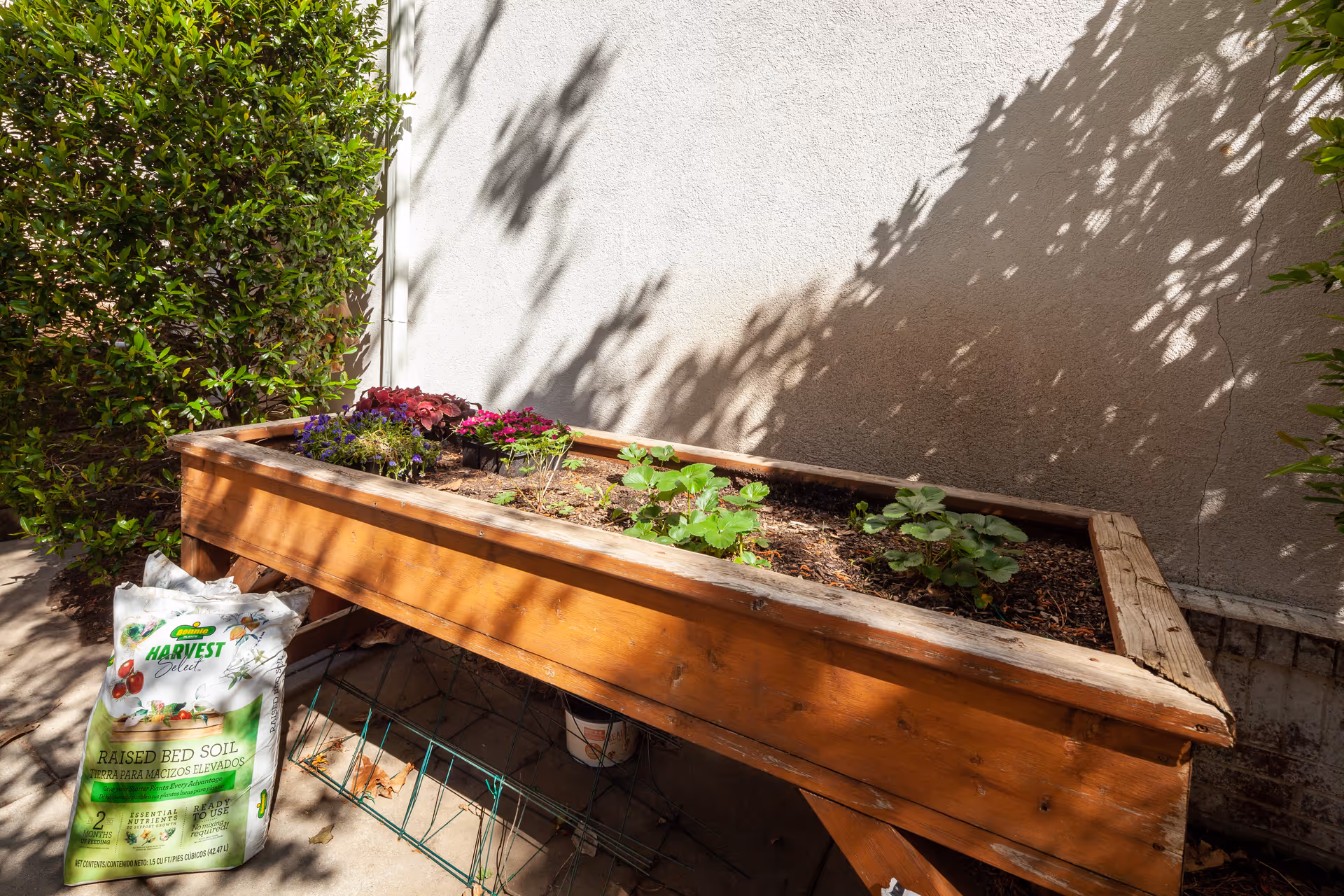 A wooden raised garden bed filled with soil and some small plants growing in it, placed outdoors against a white wall. There is a bag of raised bed soil on the ground next to the garden bed, and green bushes are visible on the left and right sides of the image.