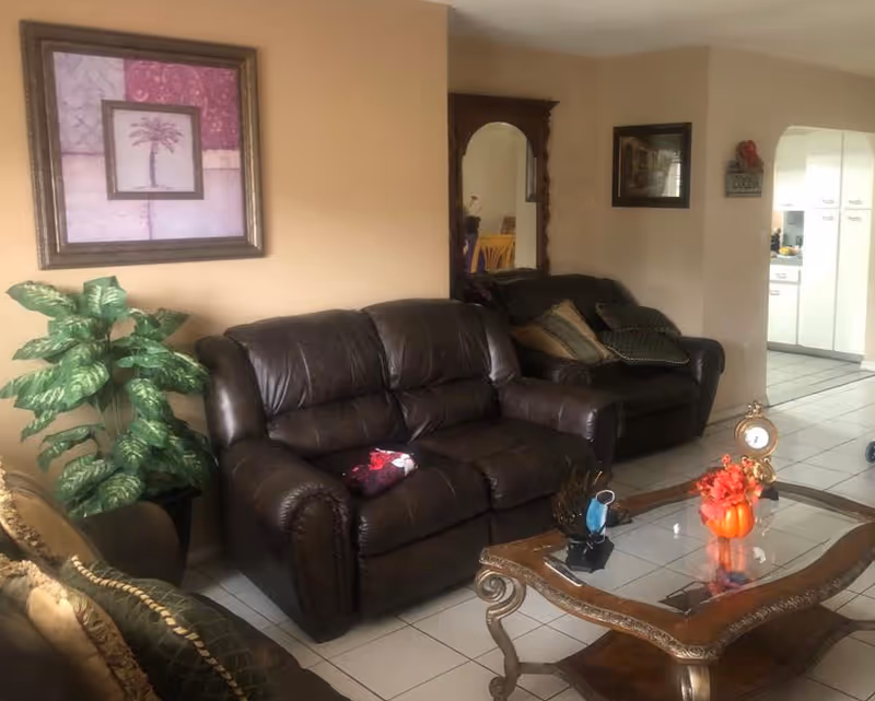 Cozy living room with brown leather sofas, glass coffee table, plant, and wall art.