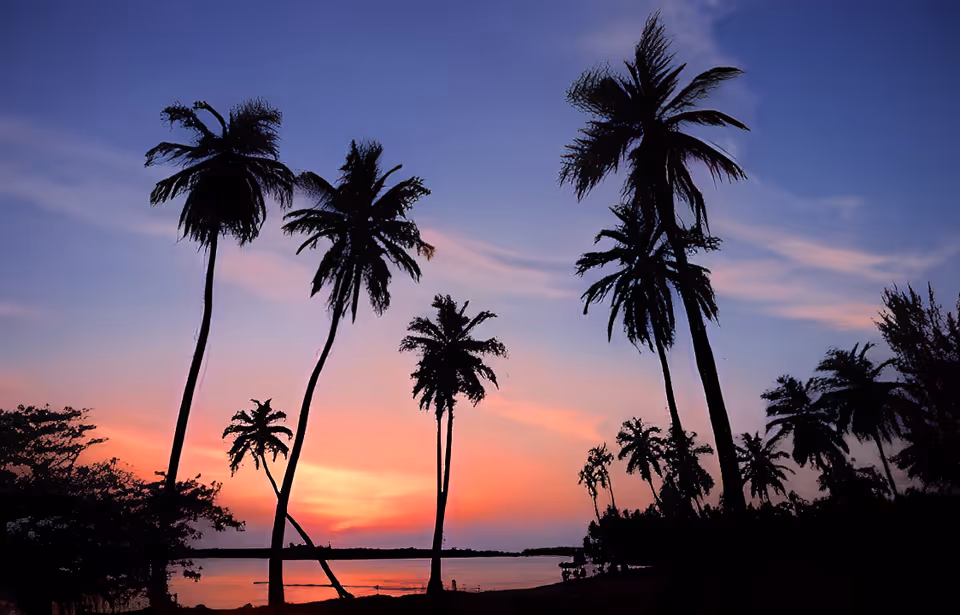 Silhouetted palm trees along a shoreline at sunset with a colorful sky and water reflections.