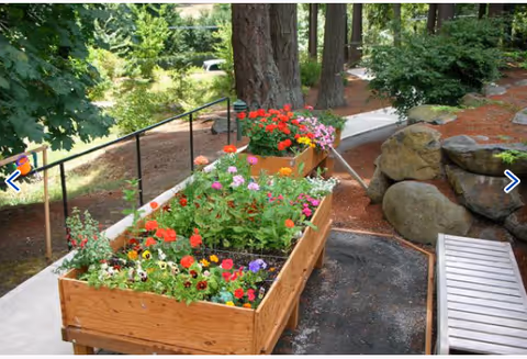 A raised wooden garden bed filled with colorful flowers including red, pink, purple, and yellow blooms, situated along a paved pathway surrounded by trees and greenery in an outdoor garden area.
