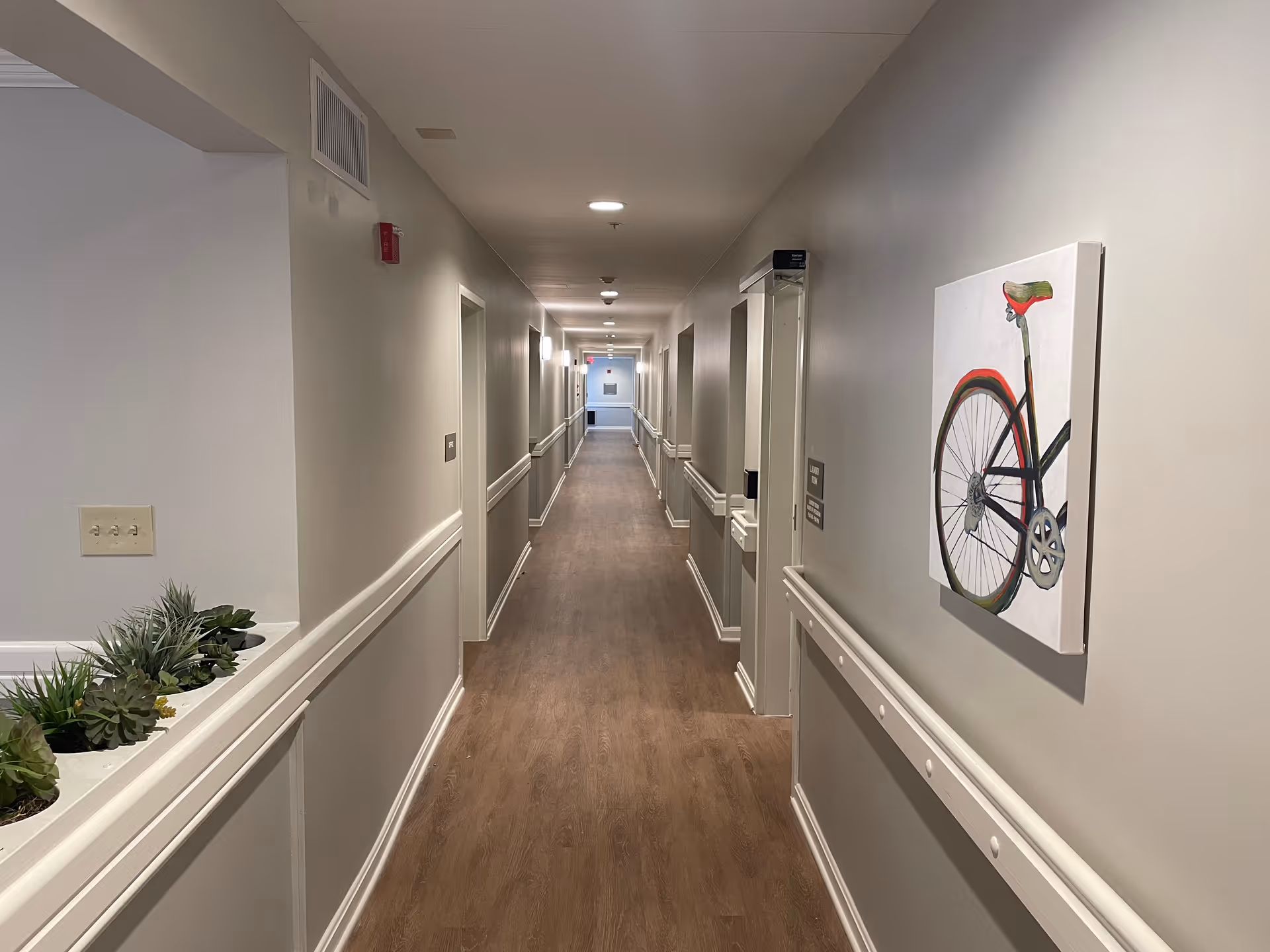 A long, well-lit hallway in a senior living facility with light gray walls, wood flooring, and white trim. There are handrails along both sides of the hallway, a painting of a bicycle on the right wall, and a planter with green plants on the left side near the foreground. Several doors line the hallway, and ceiling lights illuminate the space.