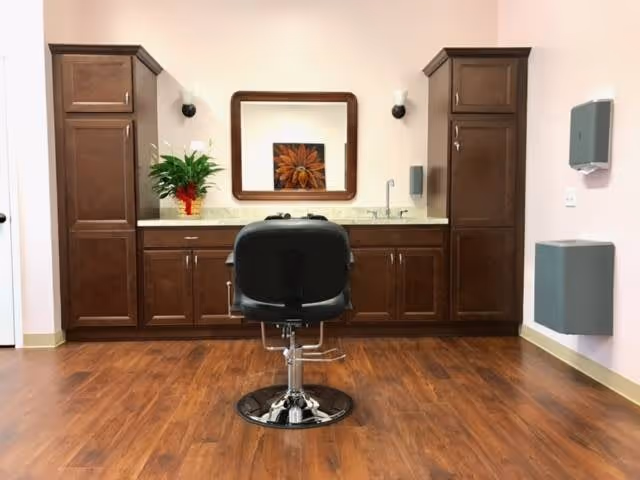 A salon area with a black salon chair facing a countertop with a sink, flanked by two tall wooden cabinets. A mirror hangs on the wall above the countertop, and a potted plant is placed on the left side. The floor is wooden, and the walls are light-colored.
