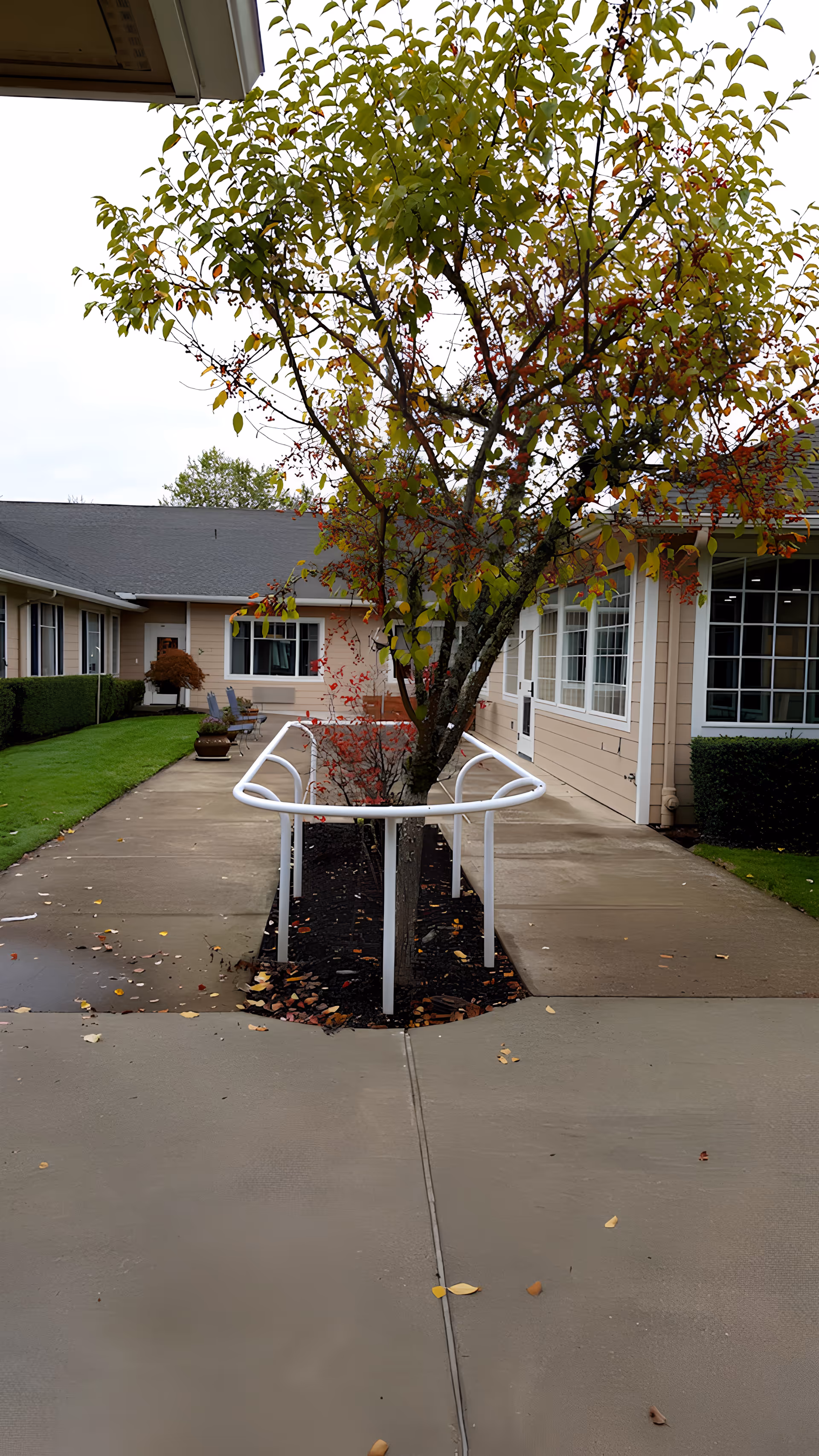 Courtyard walkway with a small tree surrounded by white handrails in front of a single-story care building.