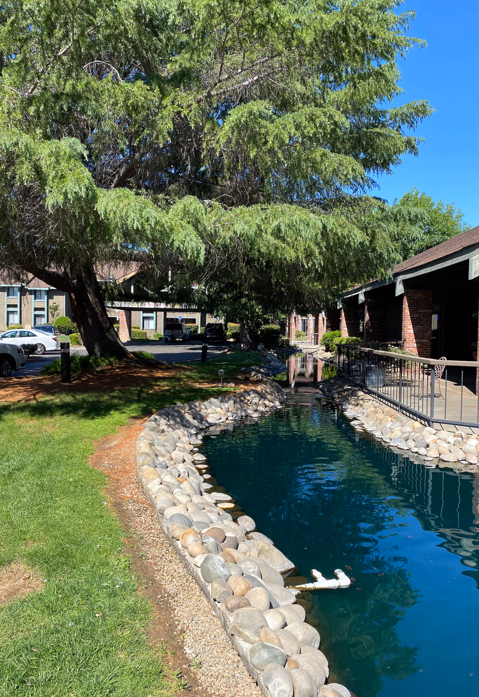 Outdoor view of The Crest at Citrus Heights featuring a narrow water canal lined with smooth stones, a large tree with green foliage, grassy area, and buildings with brick and wood exteriors under a clear blue sky.