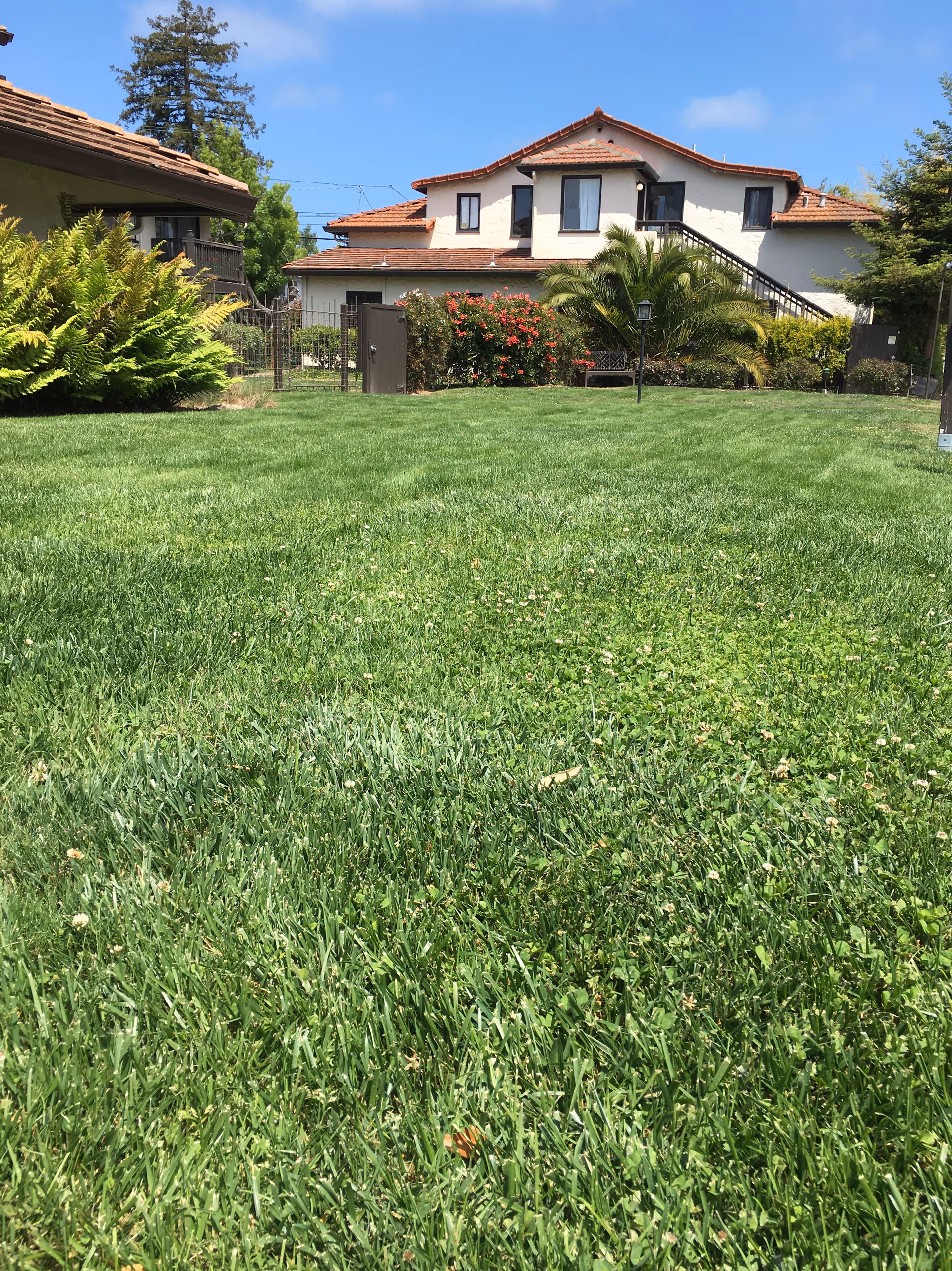 A well-maintained green lawn with various bushes and plants in front of a two-story building with a tiled roof and exterior staircase under a blue sky.