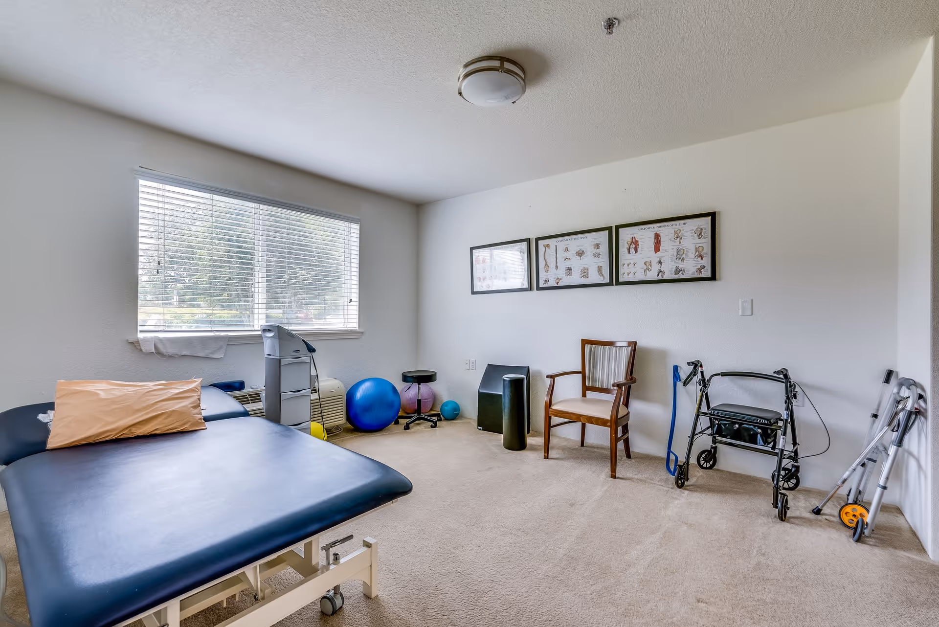 A therapy or rehabilitation room with a padded treatment table, exercise balls, a chair, a walker, and framed anatomical charts on the wall. The room has a large window with blinds and beige carpet flooring.