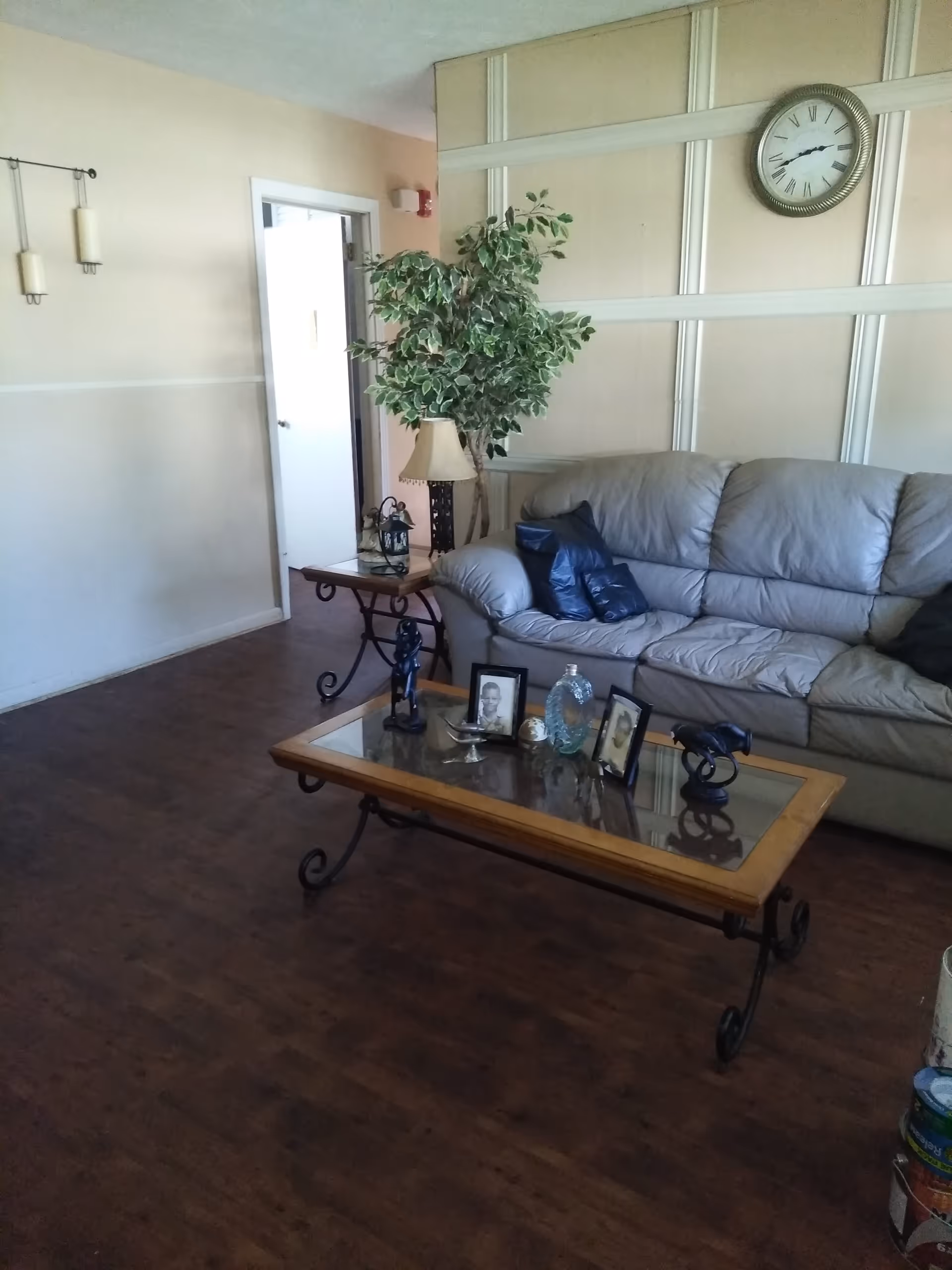 A cozy living room with a gray leather couch adorned with dark blue pillows, a glass-top coffee table with framed photos and decorative items, a side table with a lamp and a potted plant, a wall clock with Roman numerals, and wooden flooring.