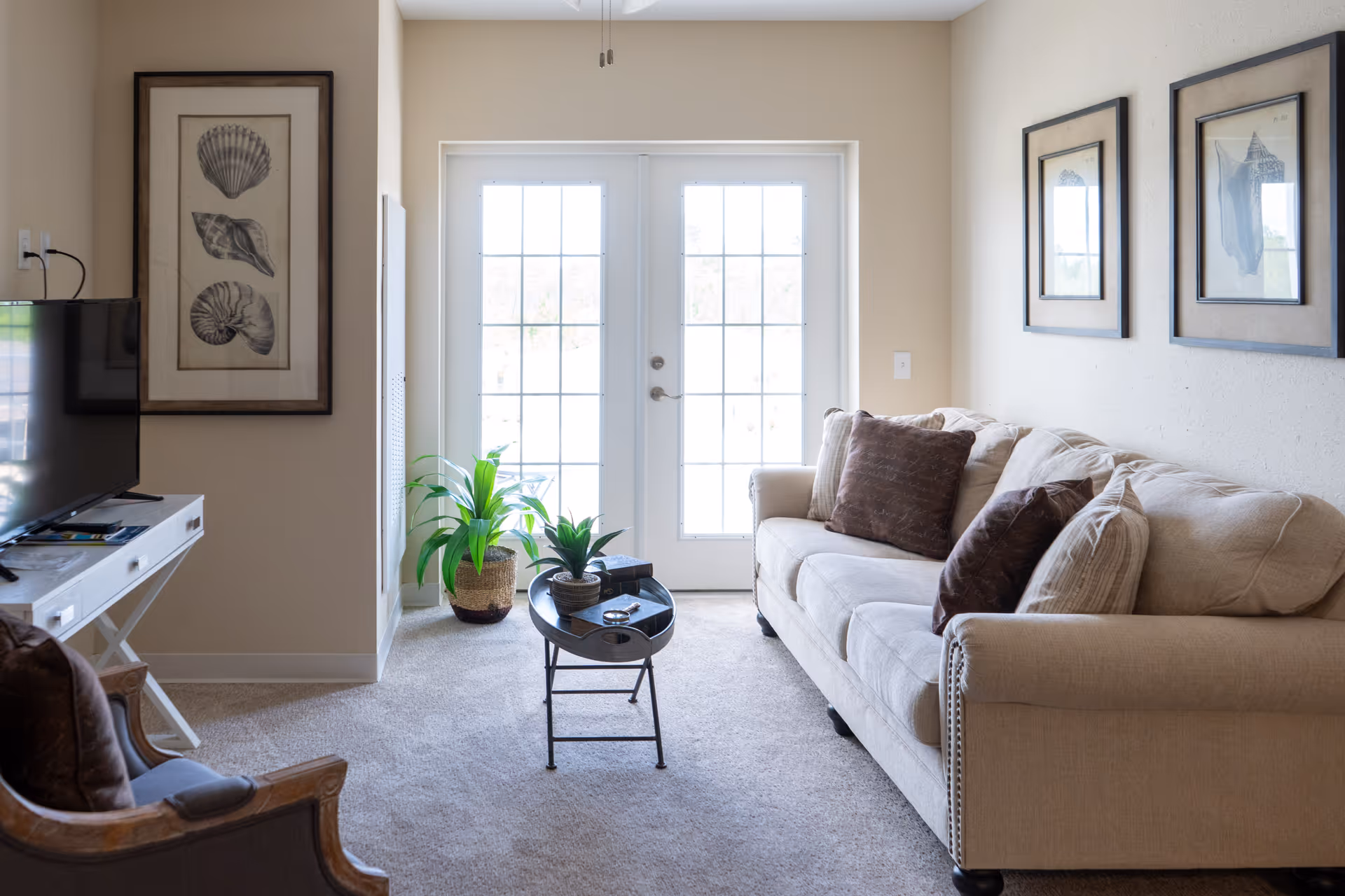 A cozy living room with a beige sofa adorned with brown and beige pillows, a small black coffee table with decorative items, two potted plants near a set of French doors letting in natural light, a TV on a white stand, and framed shell artwork on the walls.